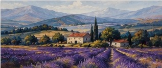 Provence Dreaming